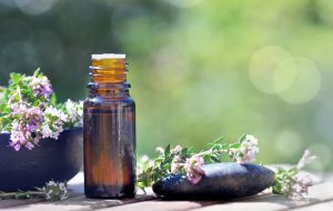 Lavender essential oil in Meriden next to lavender flowers